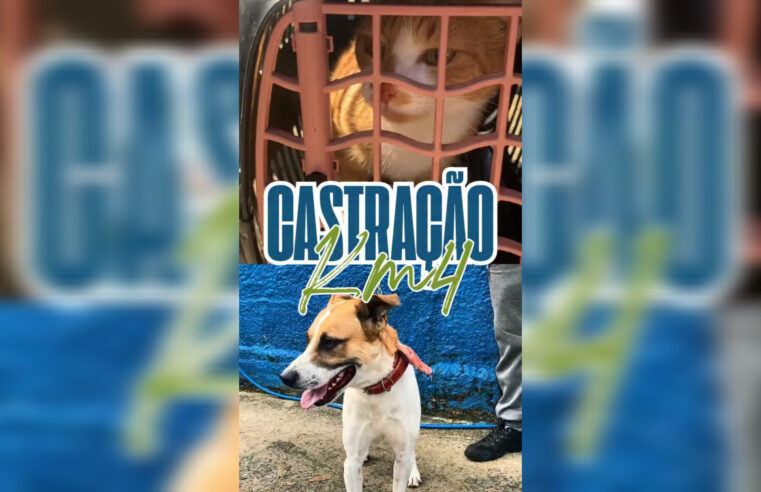 Cruzeiro abre inscrições para 230 vagas de castração gratuita de cães e gatos