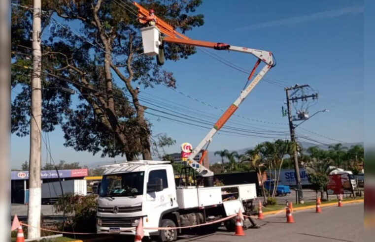 EDP realiza mutirão de poda de árvores próximo à rede elétrica em Guaratinguetá