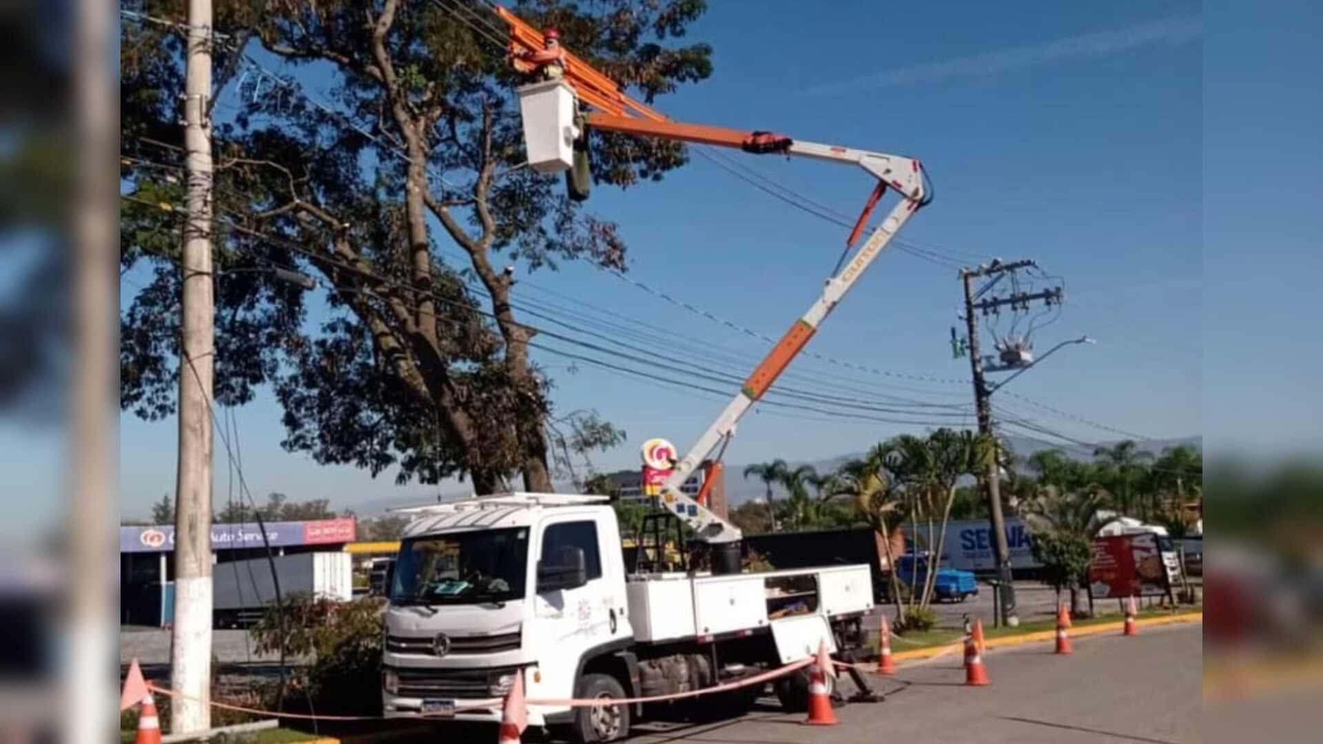 EDP realiza mutirão de poda de árvores próximo à rede elétrica em Guaratinguetá