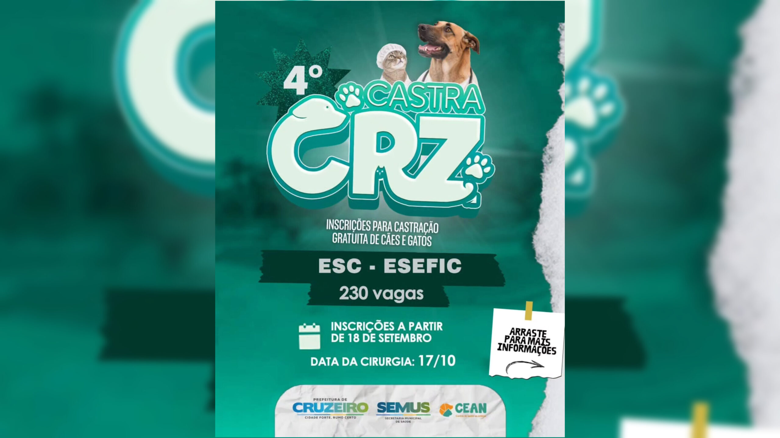 Cruzeiro abre inscrições para quarta etapa de mutirão de castrações com 230 vagas&nbsp;