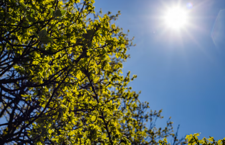 Do frio ao calorão: Vale do Paraíba terá mudança no tempo e máximas de 34°C no fim de semana; entenda