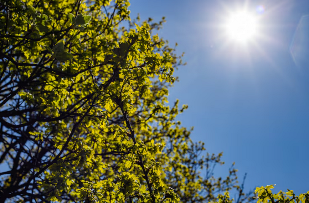 Do frio ao calorão: Vale do Paraíba terá mudança no tempo e máximas de 34°C no fim de semana; entenda
