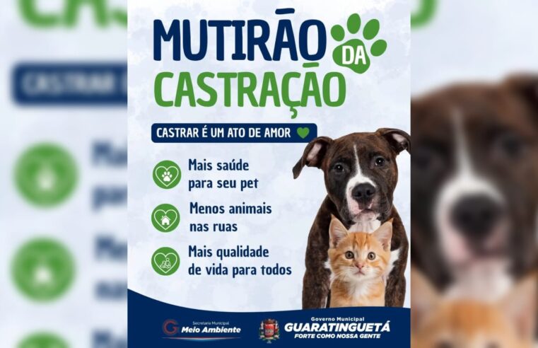 Guaratinguetá mantém mutirão gratuito de castração de cães e gatos
