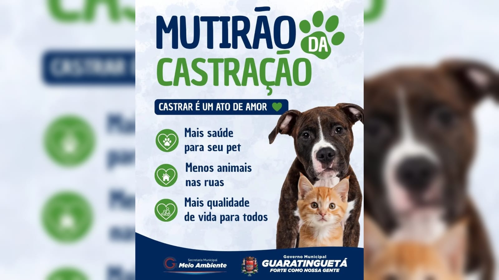 Guaratinguetá mantém mutirão gratuito de castração de cães e gatos