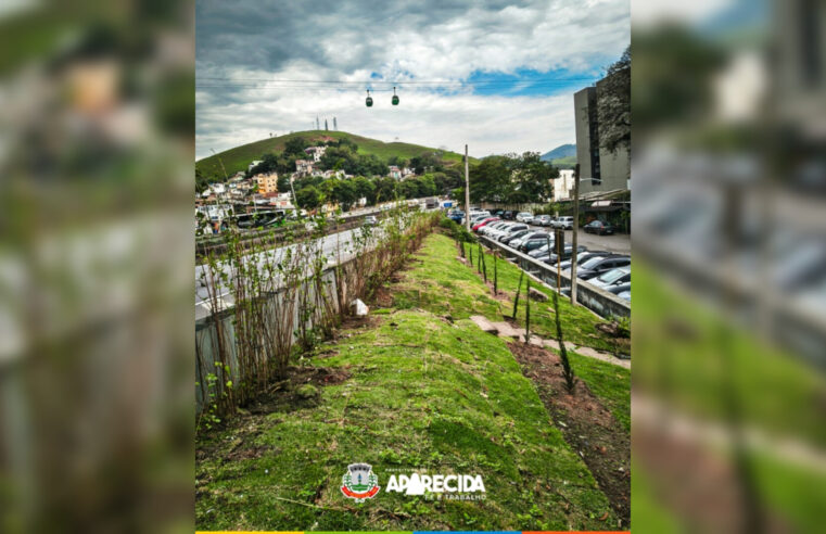 Prefeitura inicia projeto paisagístico na Rua Simplício Soares, em Aparecida