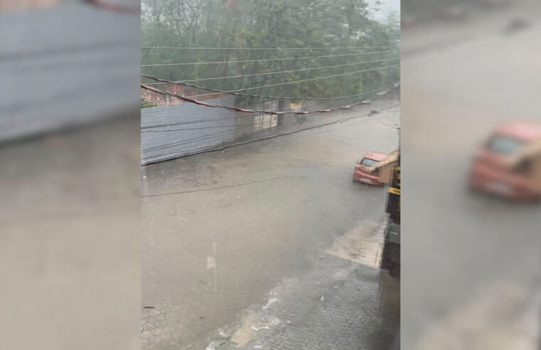 Fortes chuvas causam alagamentos e quedas de árvores em Lorena nesta sexta-feira