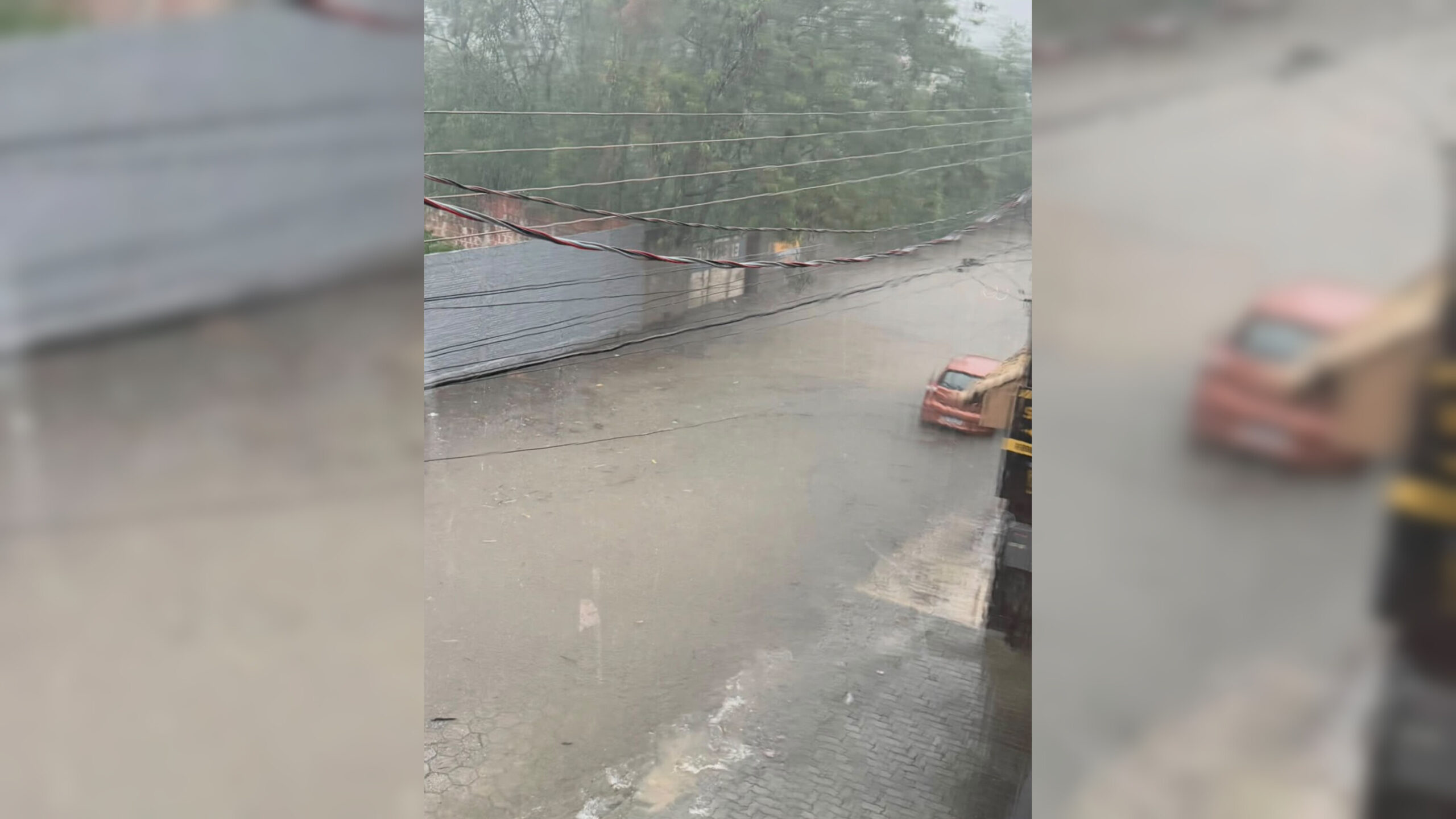 Fortes chuvas causam alagamentos e quedas de árvores em Lorena nesta sexta-feira